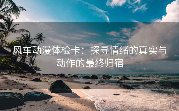 风车动漫体检卡:探寻情绪的真实与动作的最终归宿 风车动漫体检卡:探寻情绪的真实与动作的最终归宿