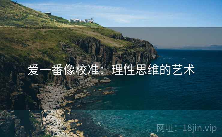 爱一番像校准：理性思维的艺术